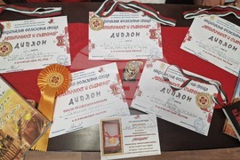 Музикална школа - награди