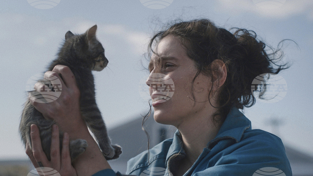 Film-Best of the Year So Far