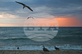Варна - Джулай морнинг