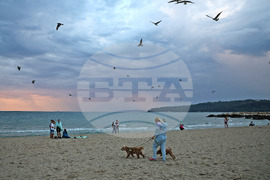 Варна - Джулай морнинг