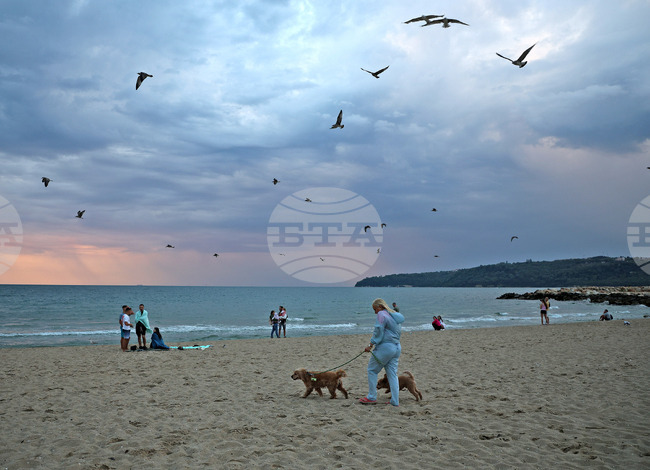 Прогноза за времето 