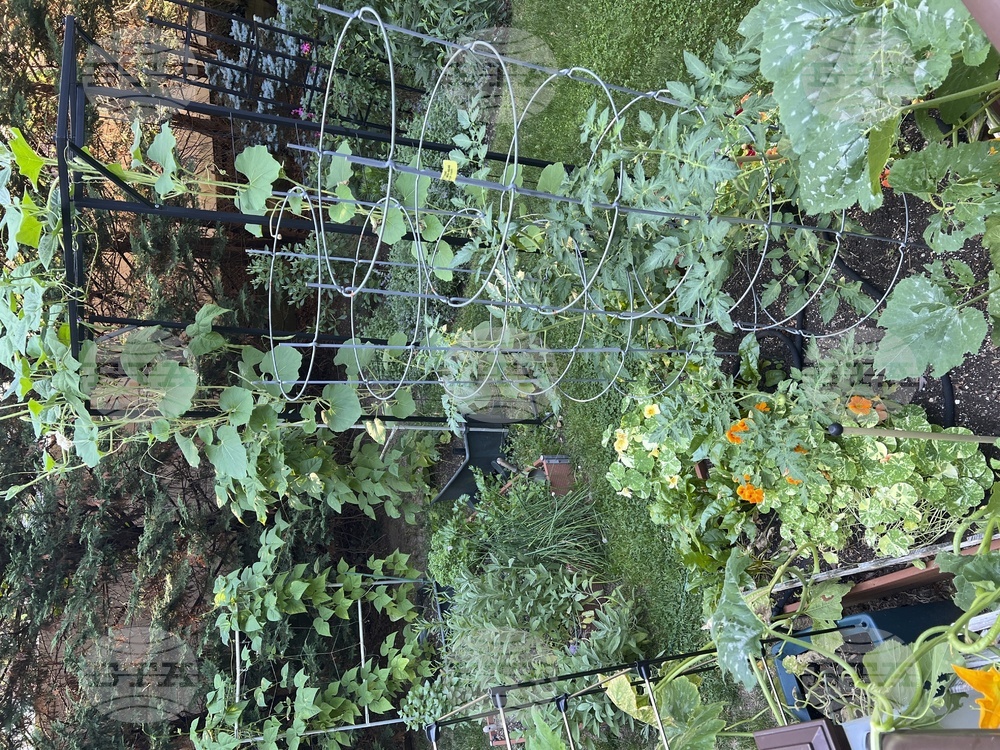 Gardening - Small Spaces