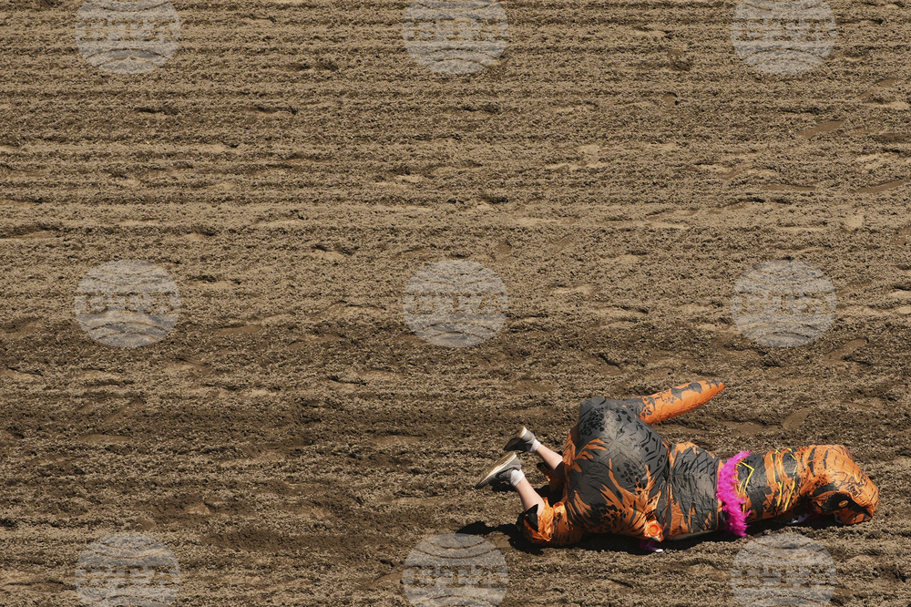 T-Rex Races