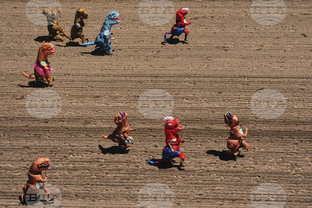 T-Rex Races