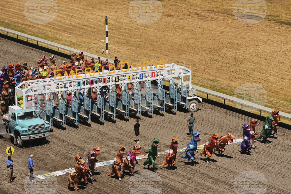 T-Rex Races