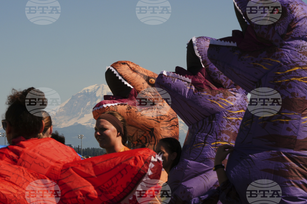 T-Rex Races