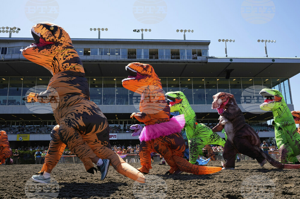 T-Rex Races