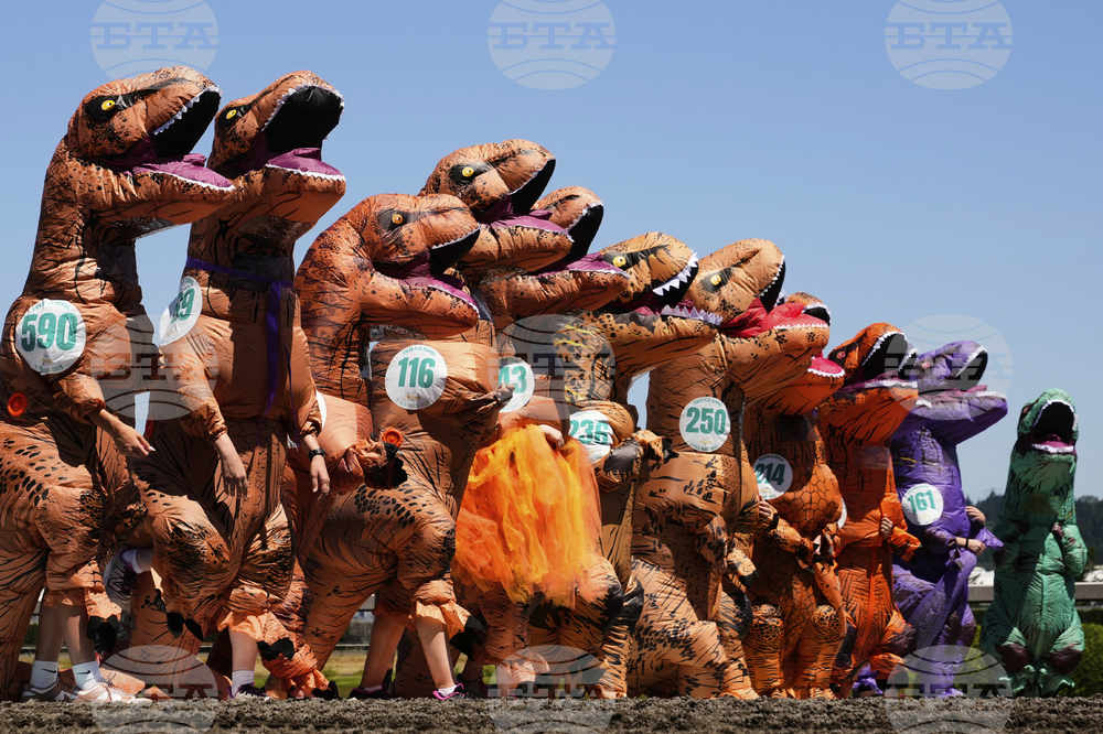 T-Rex Races