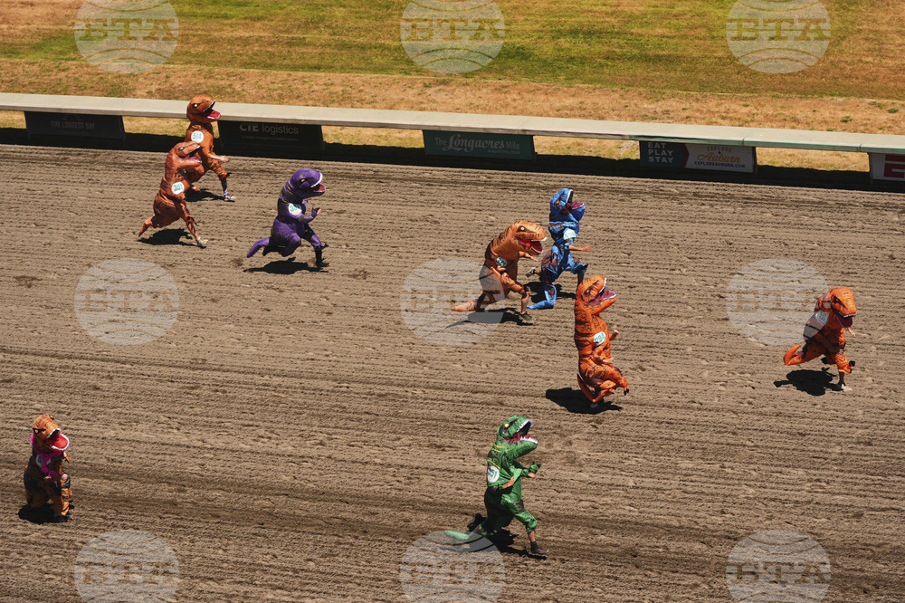 T-Rex Races