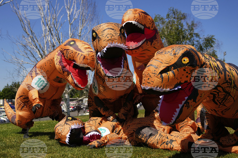 T-Rex Races
