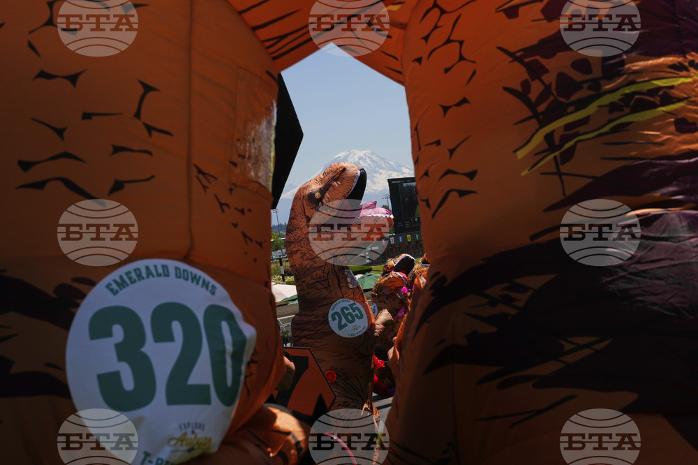 T-Rex Races