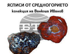 Снимка: НМ „Земята и хората“