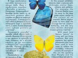 Снимка: НМ „Земята и хората“