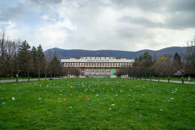 Artist Ivan Mudov's Border Flowers Installation to Be Displayed in Sofia