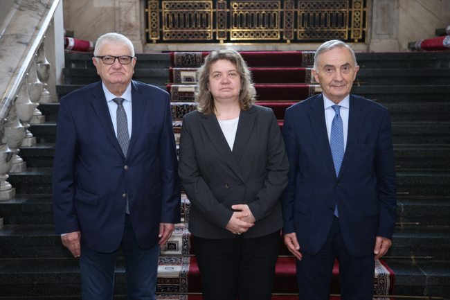  България си пожелава по време на председателството на Организацията за Черноморско икономическо сътрудничество (ОЧИС) да допринесе за възстановяване на мира, сигурността и сътрудничество в Европа, заяви председателят на Народното събрание Наталия Киселова