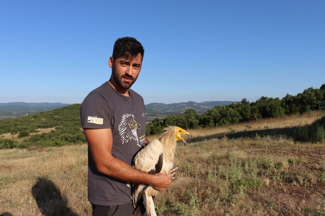 Световно отличие за д-р Волен Аркумарев от БДЗП