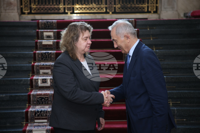 Bulgaria Will Seek Security and De-escalation in the Black Sea Region, Parliament Leader Says at Meeting with BSEC Secretary General