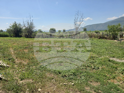 Гоце Делчев - приют за бездомни кучета - доброволци