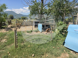 Гоце Делчев - приют за бездомни кучета - доброволци