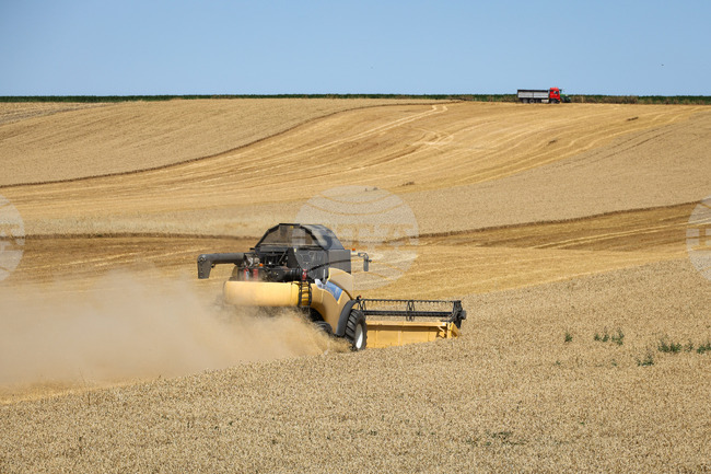 В Тараклийския район се отчита ръст в добивите: фермерите вече са ожънали една трета от площите