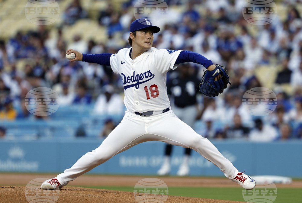 White Sox Dodgers Baseball