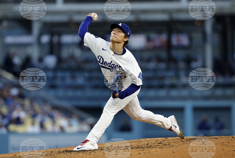 White Sox Dodgers Baseball