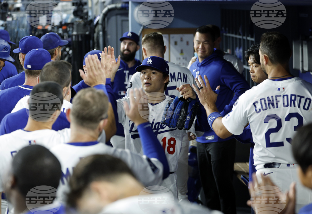 White Sox Dodgers Baseball