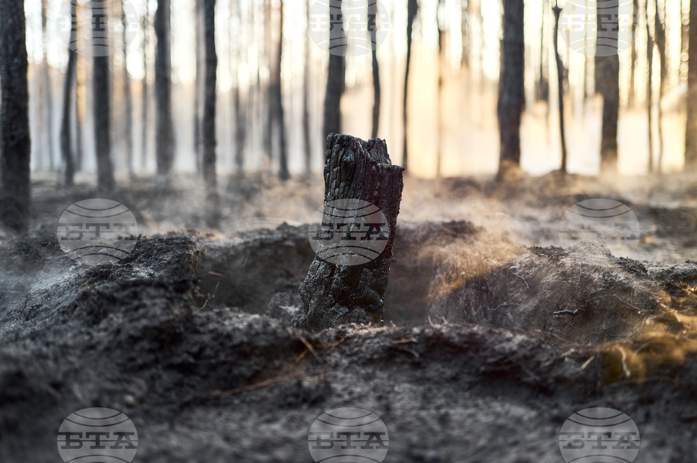 Турският министър на земеделието и горите обяви, че горските пожари в окръзите Измир, Маниса и Хатай са частично овладени