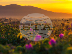 Снимка: Фондация „Йордан Камджалов“