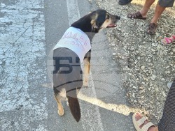 Село Свобода - протест - безводие