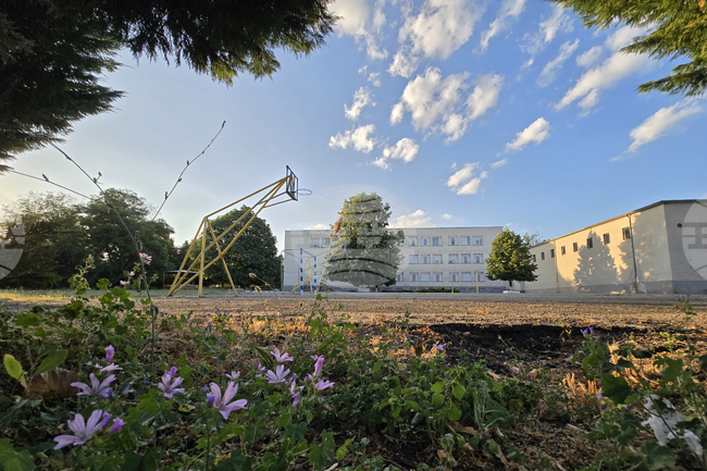 Над 200 места за прием в осми клас са свободни в училищата на територията на област Сливен