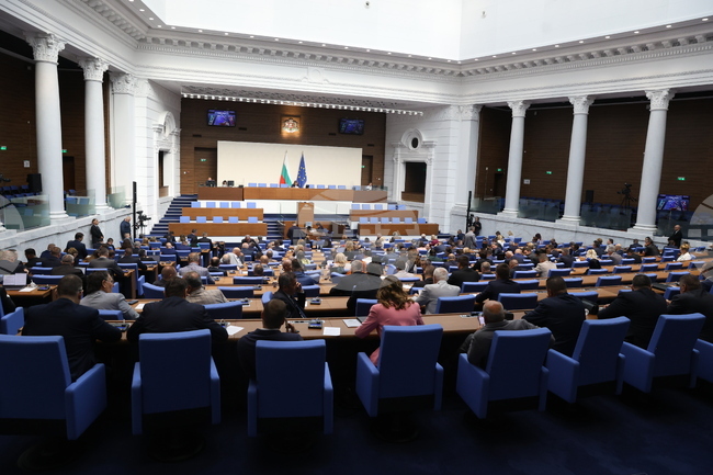 Парламентът отхвърли предложението държавата да си върне електроразпределителните дружества на територията на България