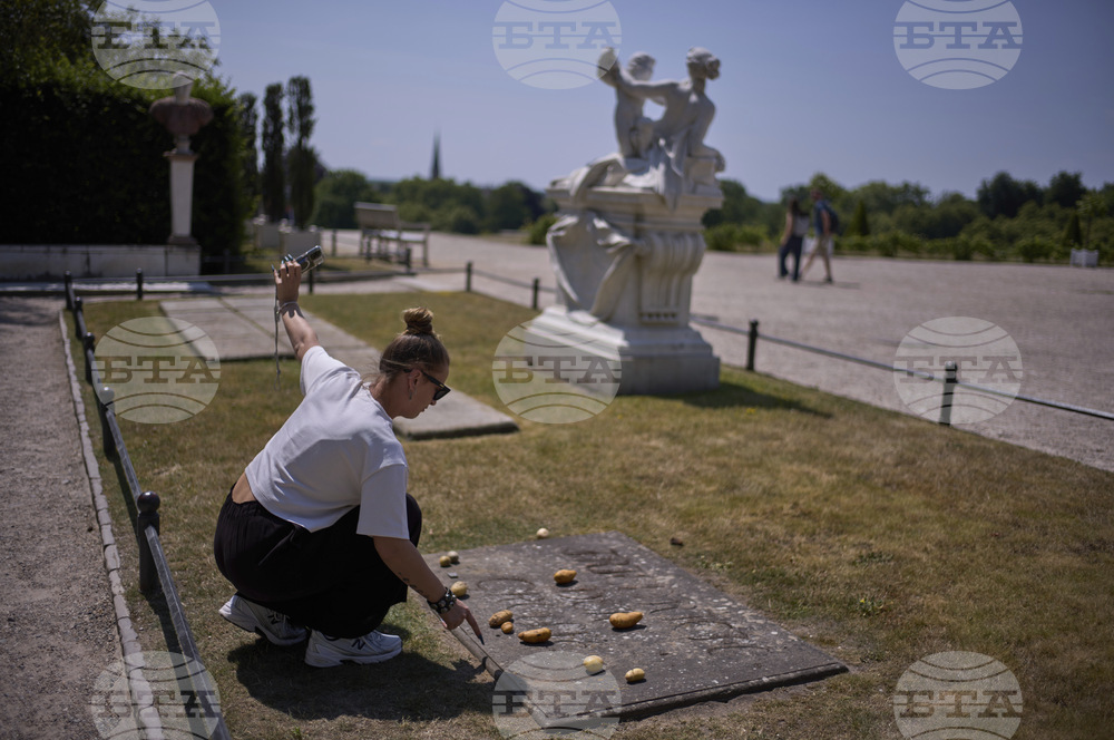 Germany Potato King Myth