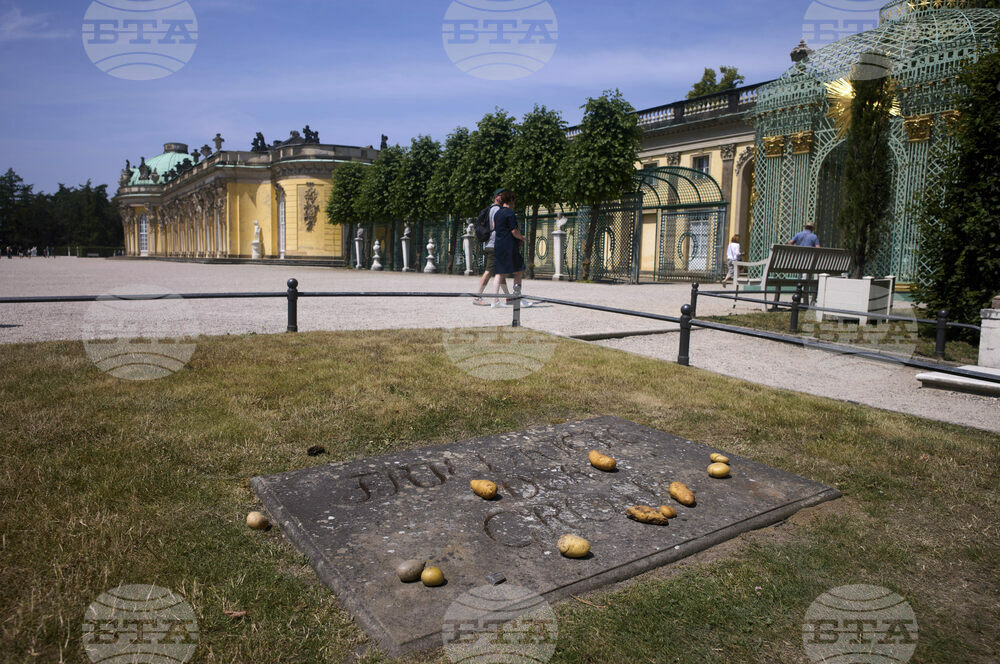 Germany Potato King Myth