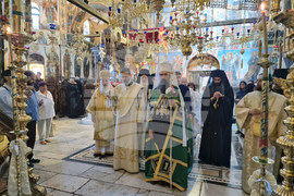 Бачковски манастир - патриарх Даниил - литургия