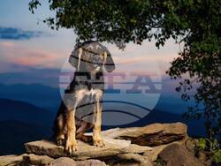 Снимка: Исторически музей – Дряново