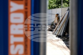 „Спаси София” - пресконференция - театър