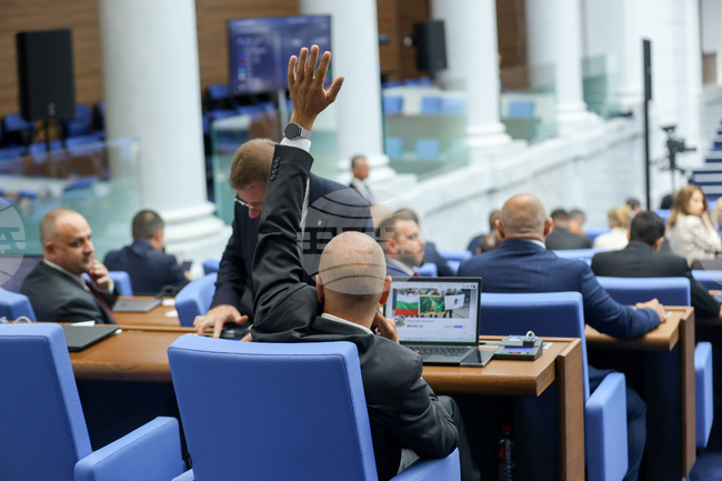 Пленарното време не стигна депутатите да гласуват предложението за национален референдум в защита на българския лев 