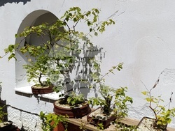 Снимка: Община Шумен