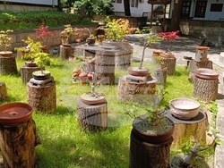 Снимка: Община Шумен