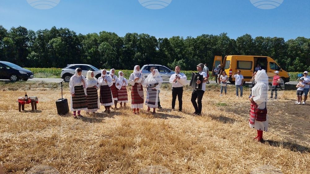Генерал Тошево - жътвена кампания - начало