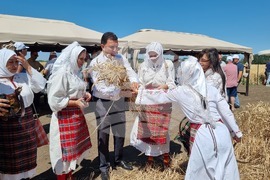 Генерал Тошево - жътвена кампания - начало