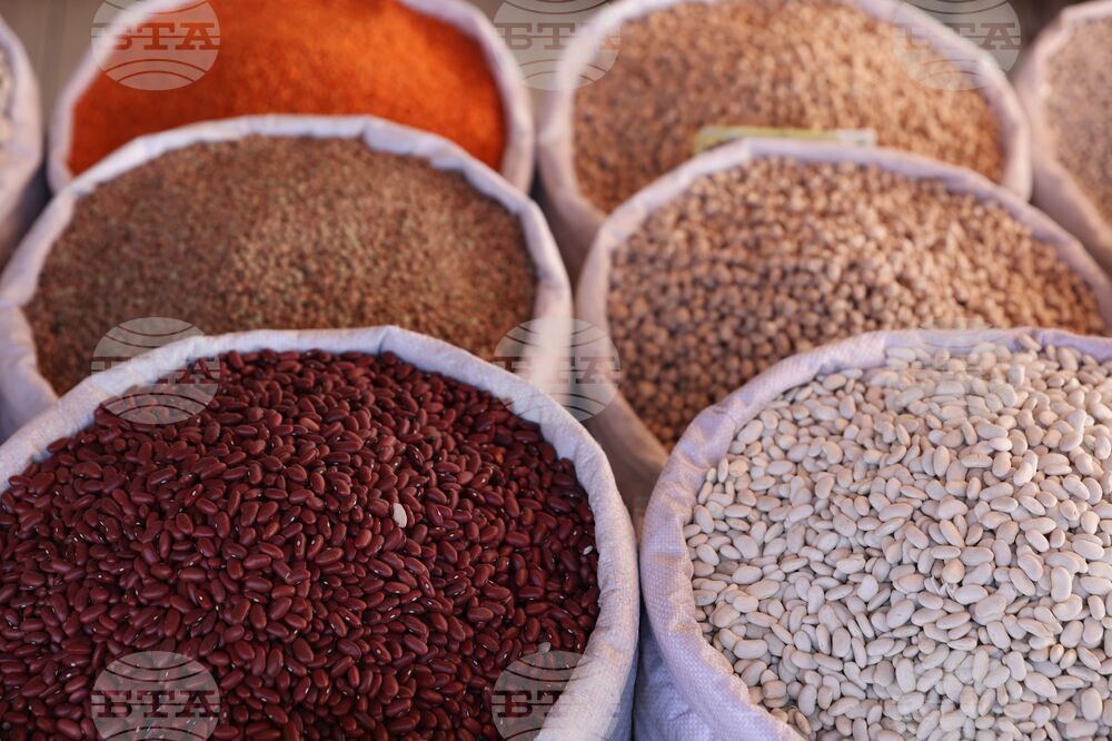 Ученици от училище „Родна реч“ в Лестър, Великобритания, имаха творческо занятие, по време на което изработиха мозайки от семена