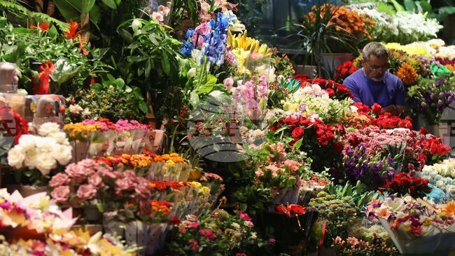 Осемдесет милиона стръка цветя са изнесени от Анталия за 8 Март за 35 страни, включително България