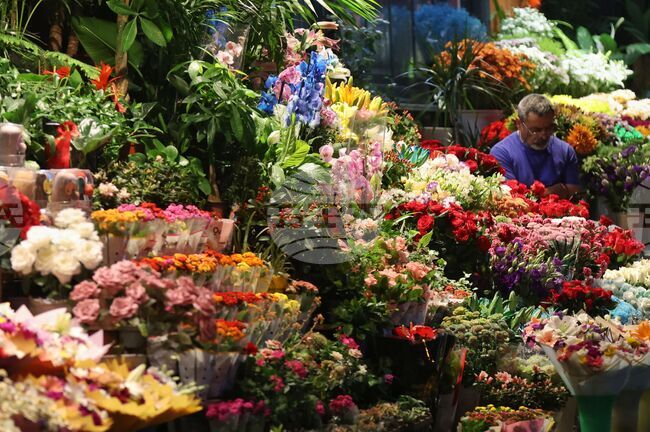 Осемдесет милиона стръка цветя са изнесени от Анталия за 8 Март за 35 страни, включително България