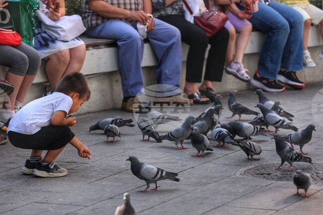 Четиридневна работна седмица - приложима ли е на Балканите?