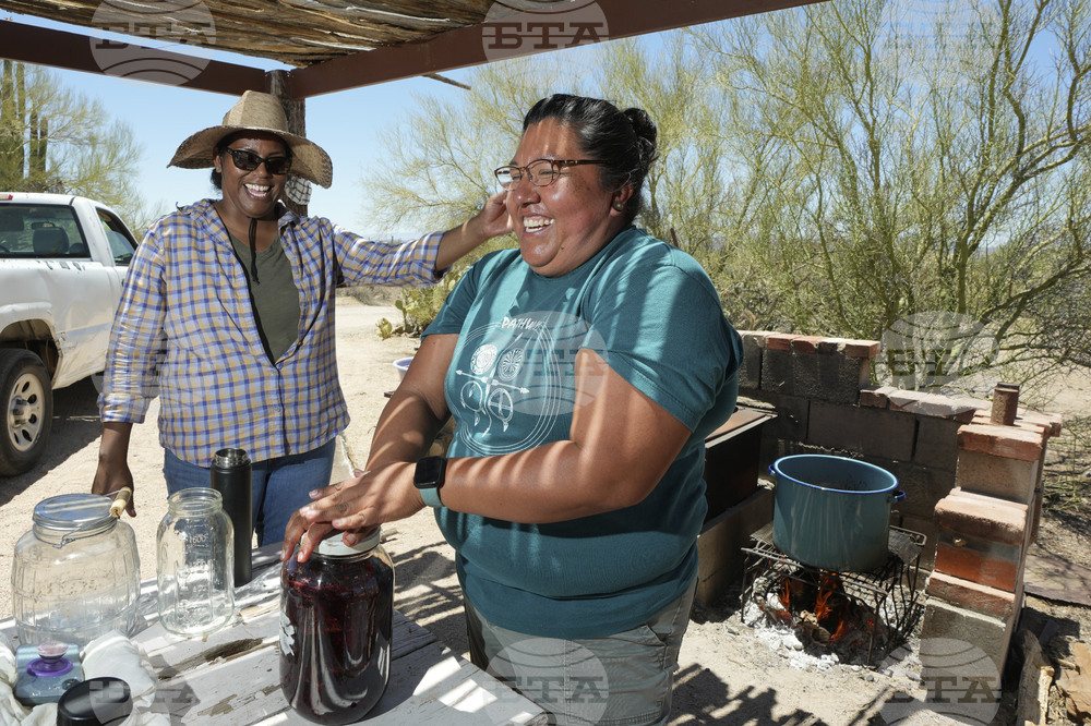 Saguaro Cactus-Harvest Photo Essay