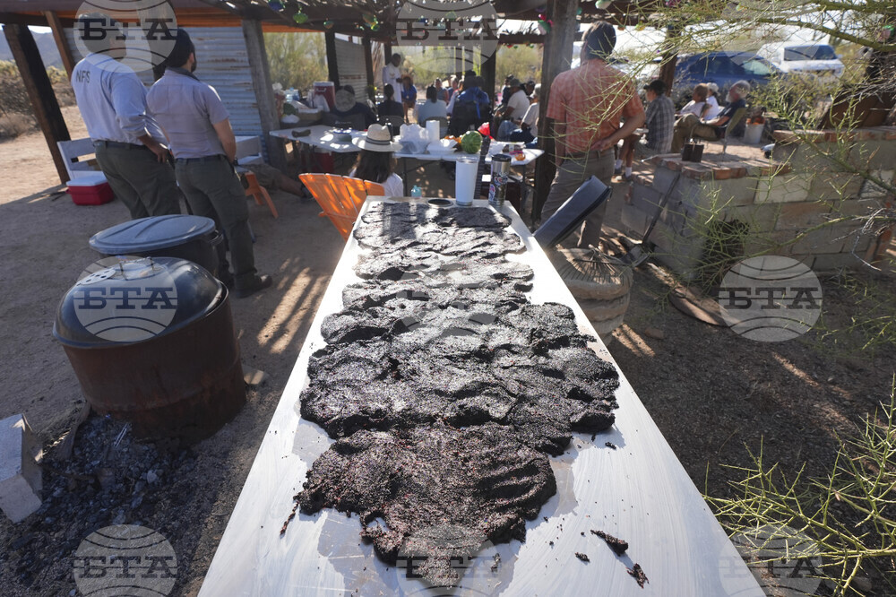 Saguaro Cactus-Harvest Photo Essay