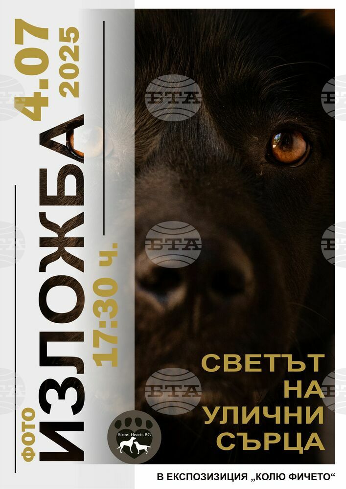 Исторически музей – Дряново ще представи фотоизложба за приюта за кучета в село Глушка
