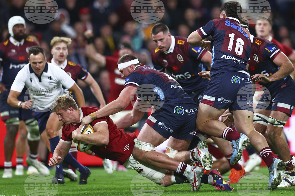 Australia Lions Rugby